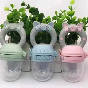 Baby Fruit Pacifier