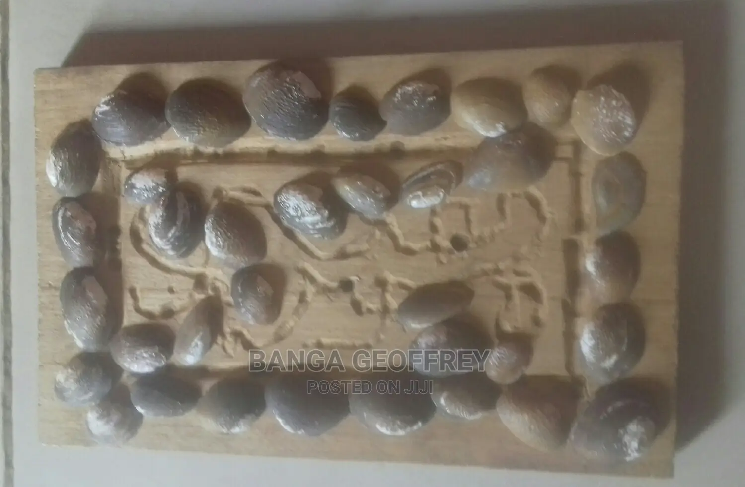 Art Work Wooden and Sea Shells