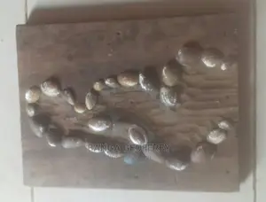 Art Work Wooden and Sea Shells