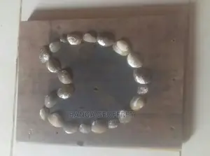 Art Work Wooden and Sea Shells