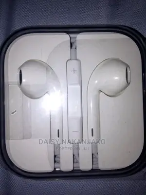 Apple Big Pin Headsets