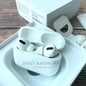 Apple Earpods Pro With a Case