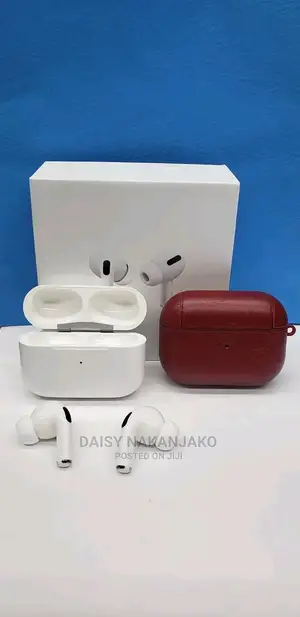 Apple Earpods Pro With a Case