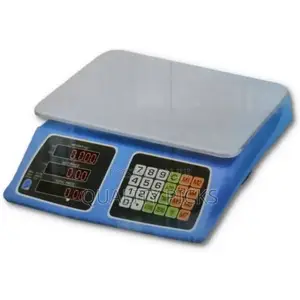 Computer Scale