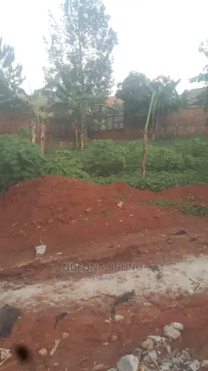 Land / Plot