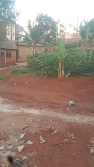 Land / Plot