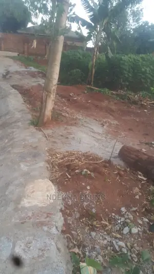 Land / Plot