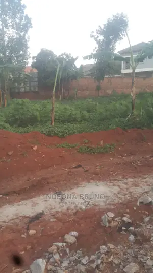 Land / Plot