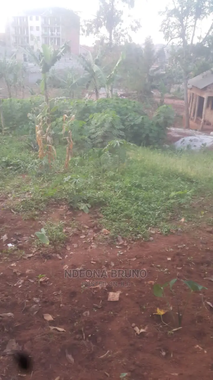 Land / Plot