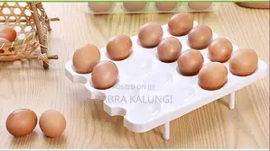 Plastic Egg Box