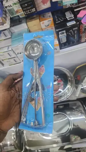 Stainless Steel Ice Cream Spoon