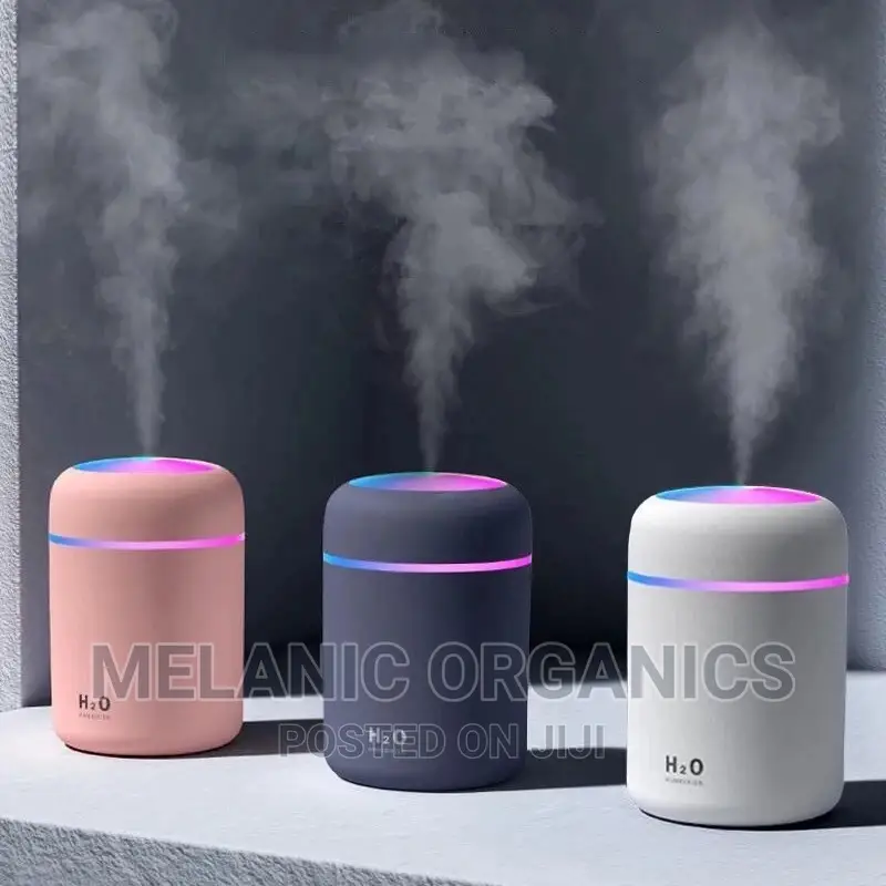 Mini Humidifier