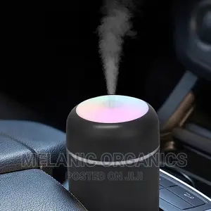 Mini Humidifier