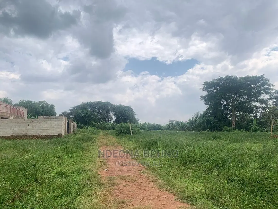 Land and Plots