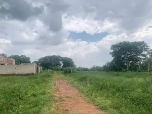 Land and Plots