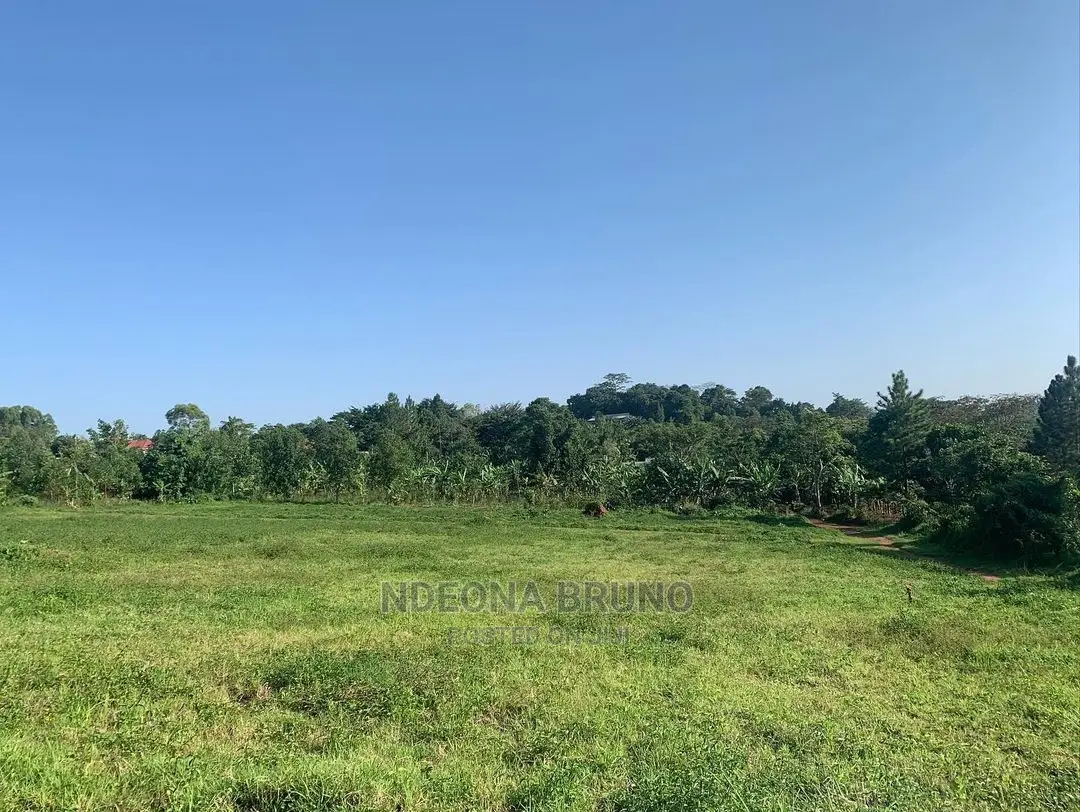 Land and Plots