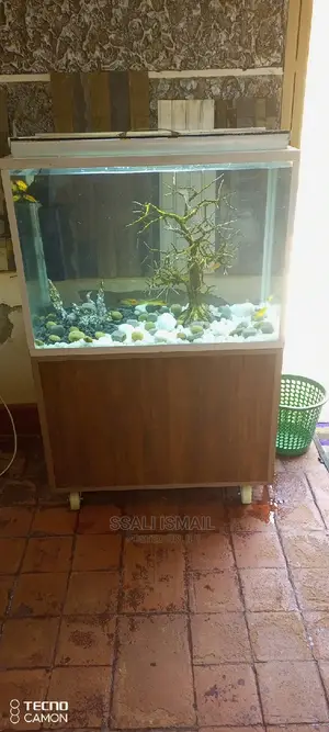 Well Designed Aquarium Best Interior