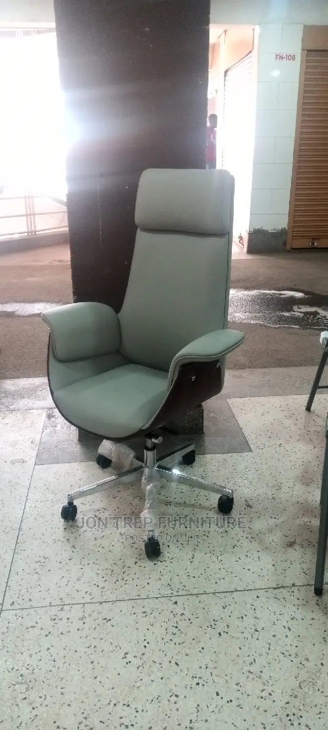 Executive Director Office Chair
