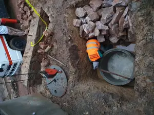 Great Biodigester Tanks and Toilets