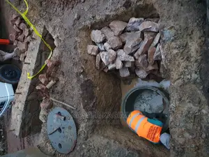 Great Biodigester Tanks and Toilets