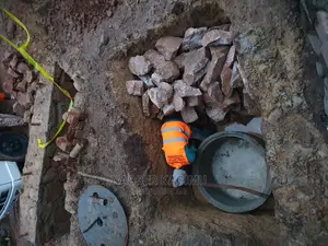 Great Biodigester Tanks and Toilets