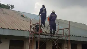 Best Iron Sheets Roof Cleaning