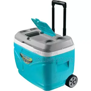 Pinnacle 66 Litre Ice Cooler Box
