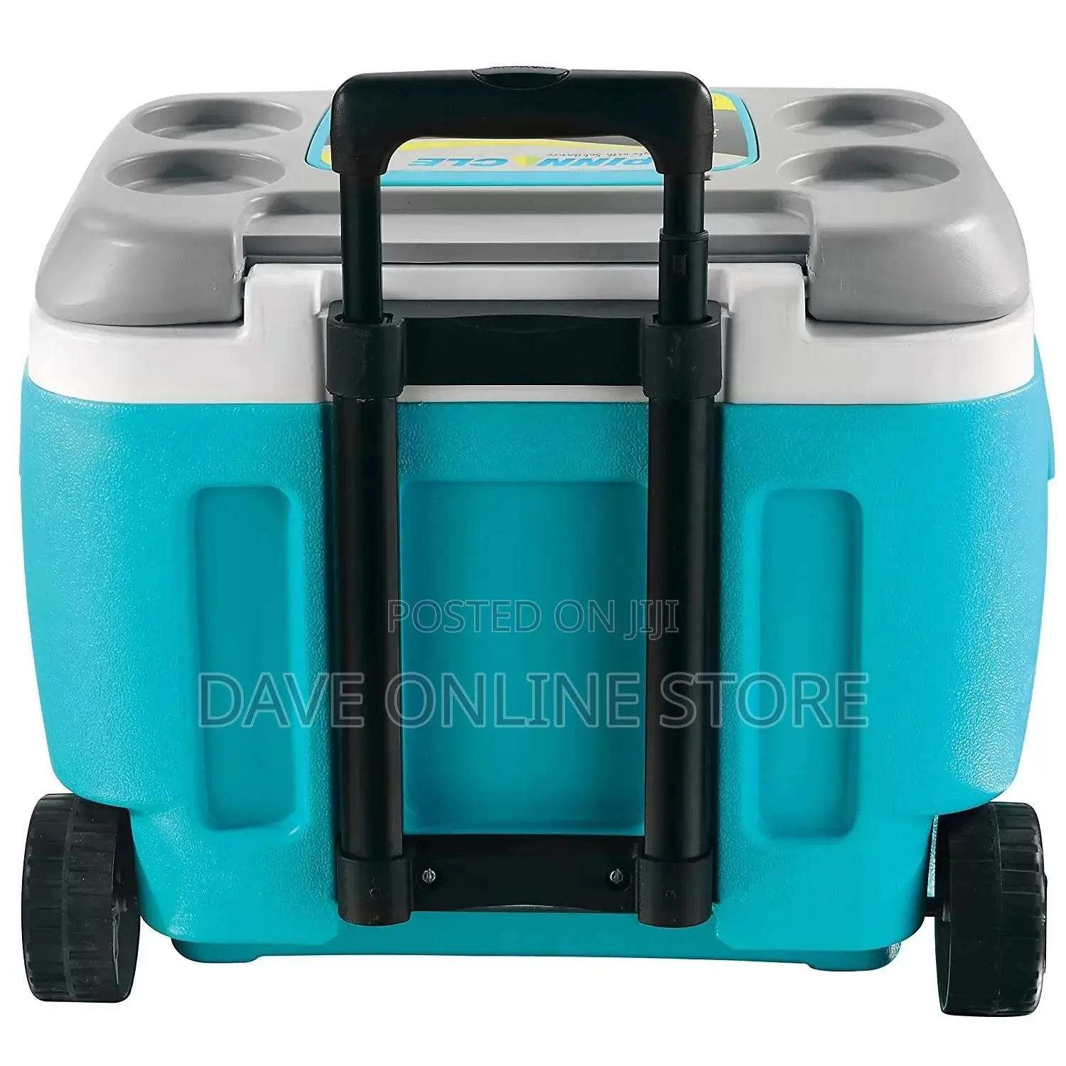 Pinnacle 66 Litre Ice Cooler Box