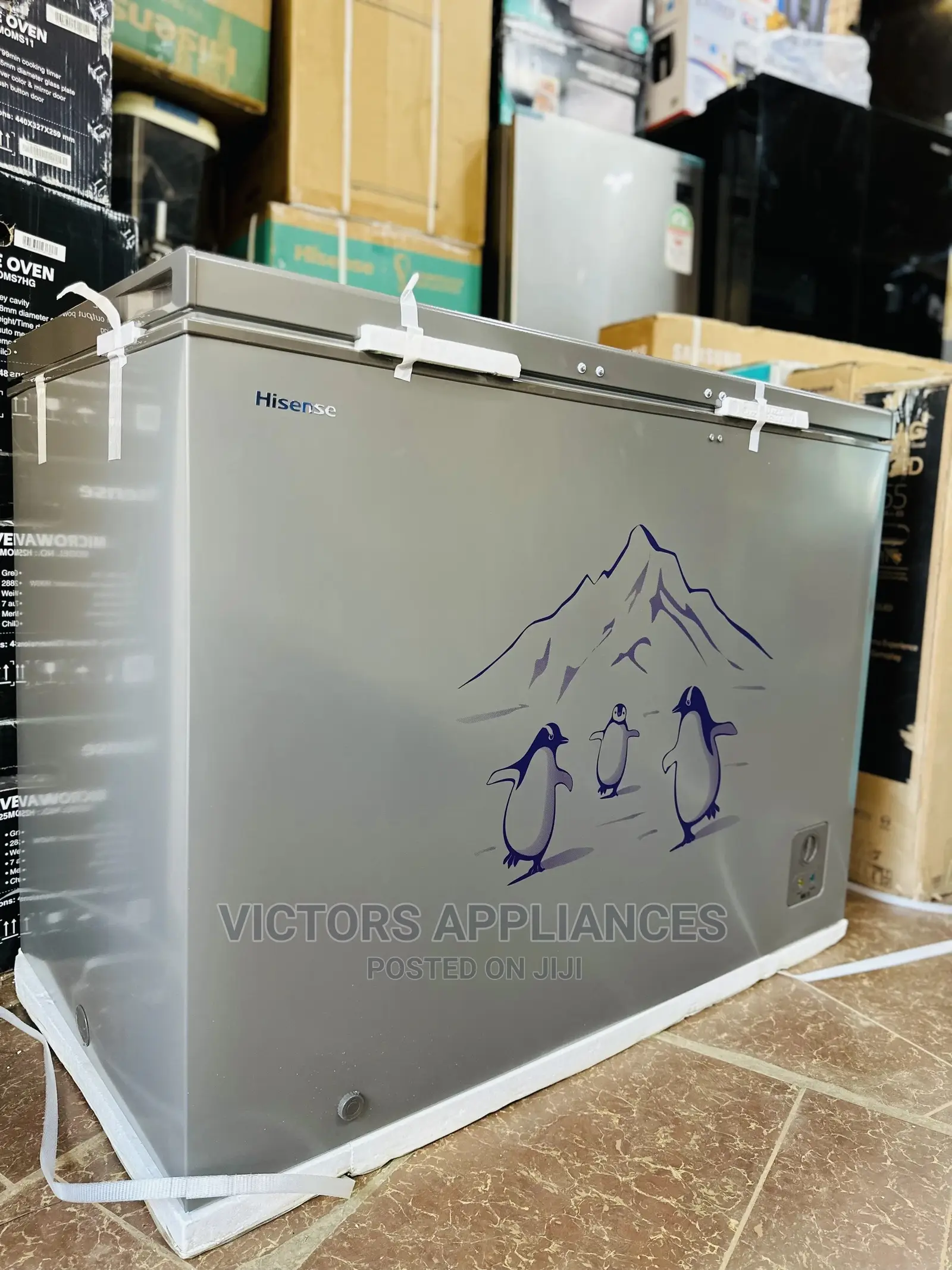 Hisense 400L Deep Freezer