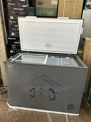 Hisense 400L Deep Freezer