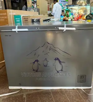 400 Liters Hisense Deep Freezer
