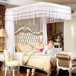 Two Stand Adjustable Mosquito Net
