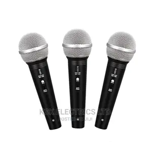 Professional Dynamic Microphone