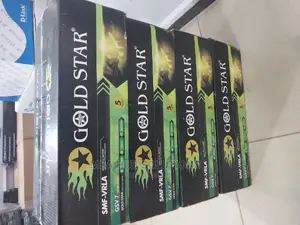 Gold Star Ups Battery
