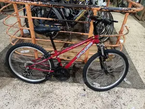 Bicycles Size 24
