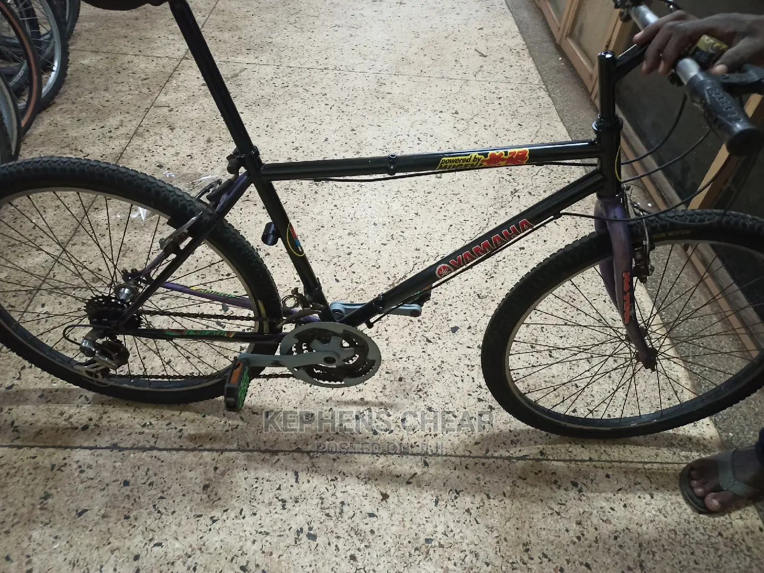 Adults Bicycless