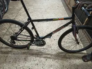 Adults Bicycless