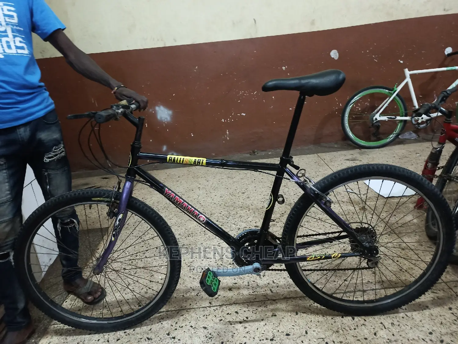 Adults Bicycless