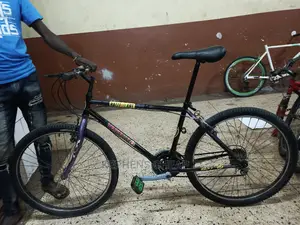 Adults Bicycless