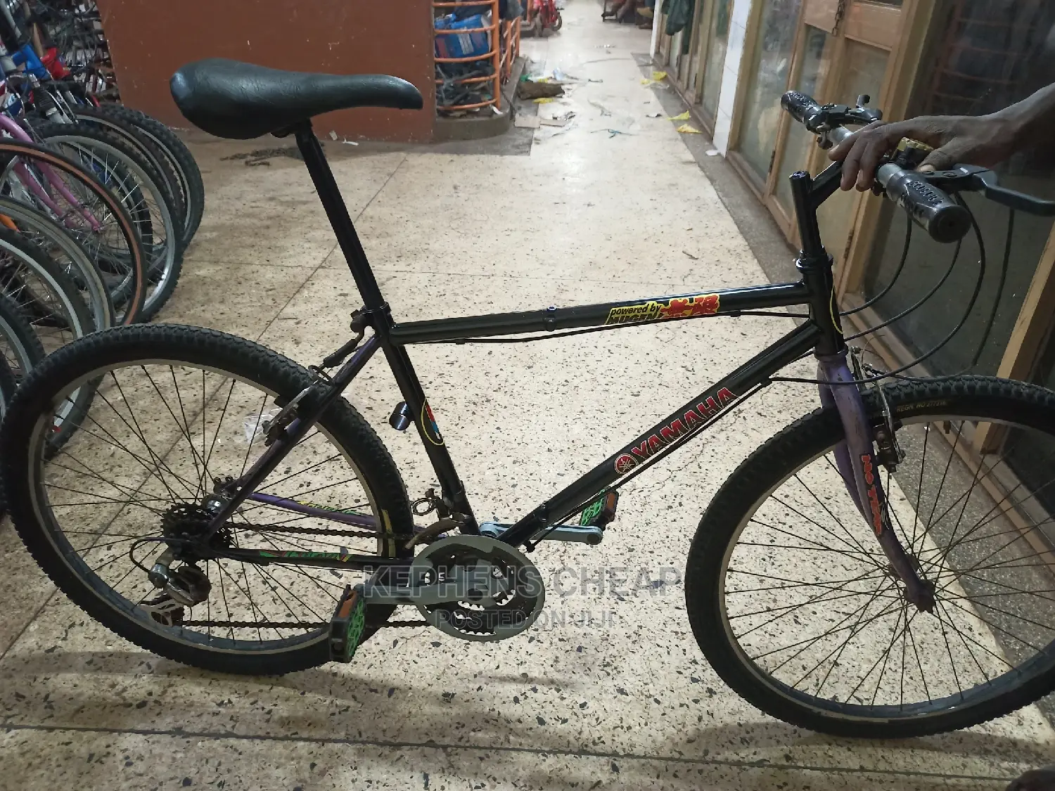 Adults Bicycless