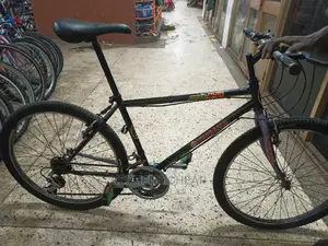 Adults Bicycless