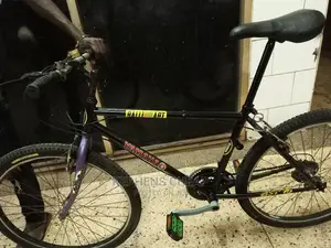 Adults Bicycless