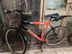 Good Bikes for Adults