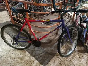 Good Bikes for Adults
