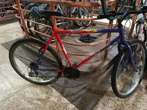Good Bikes for Adults