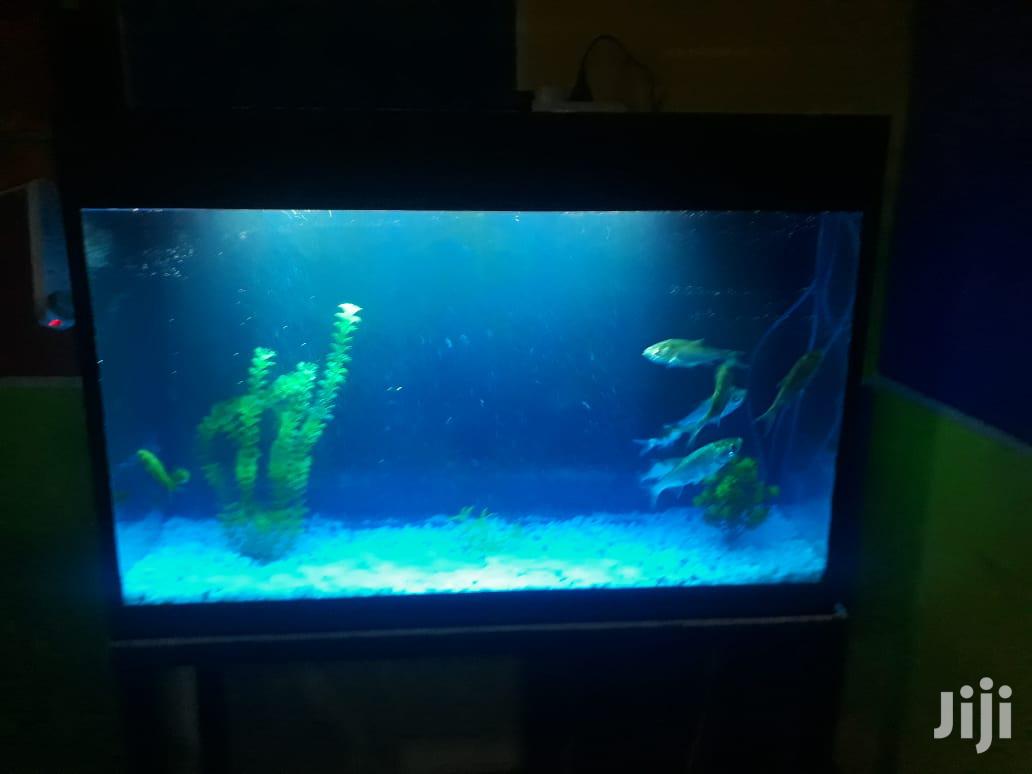 Aquariums