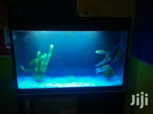 Aquariums