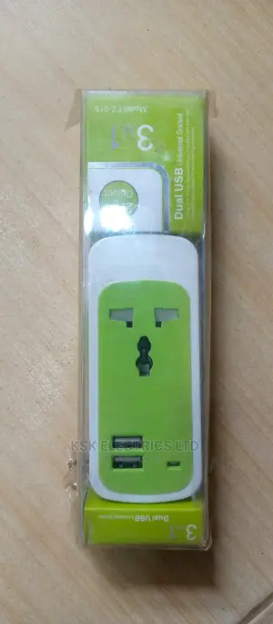 Dual USB Universal Socket