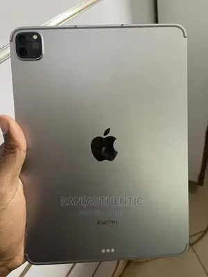 Apple iPad Pro 11 (2022) 1 TB Gray