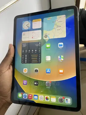 Apple iPad Pro 11 (2022) 1 TB Gray